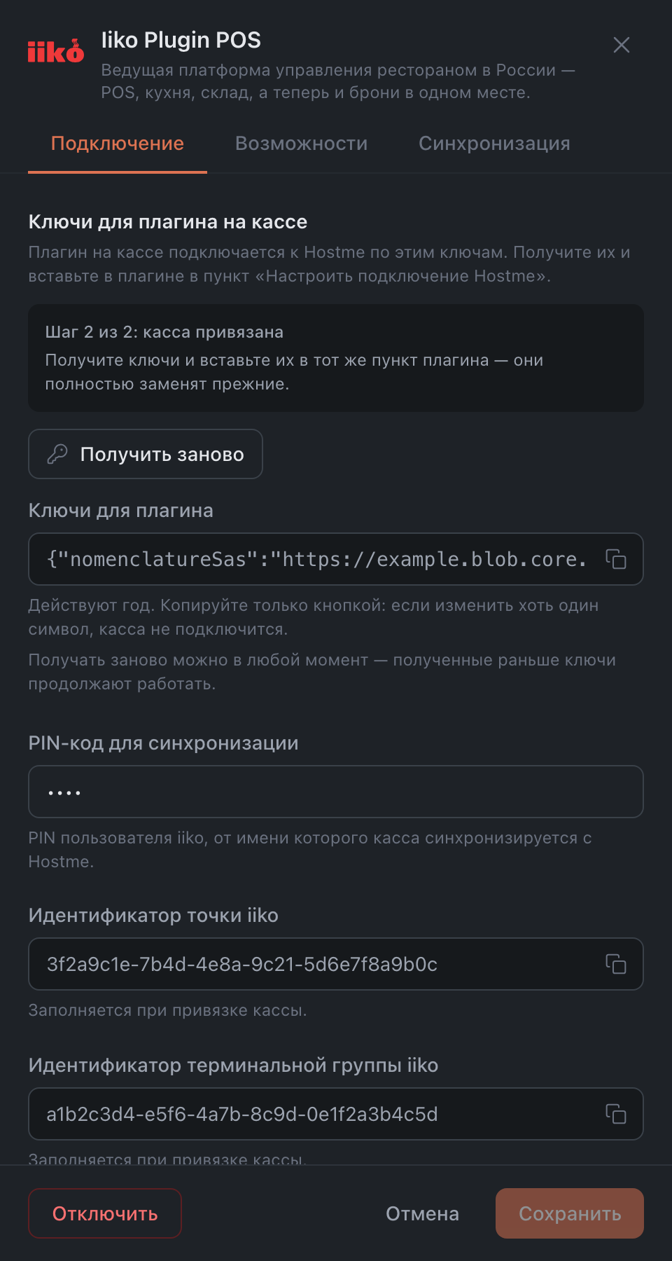 Вкладка «Подключение» в панели плагина iiko
